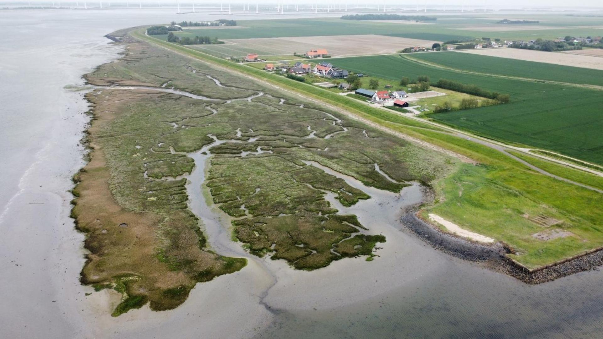 Philipstere Apartment Sint Philipsland Bagian luar foto