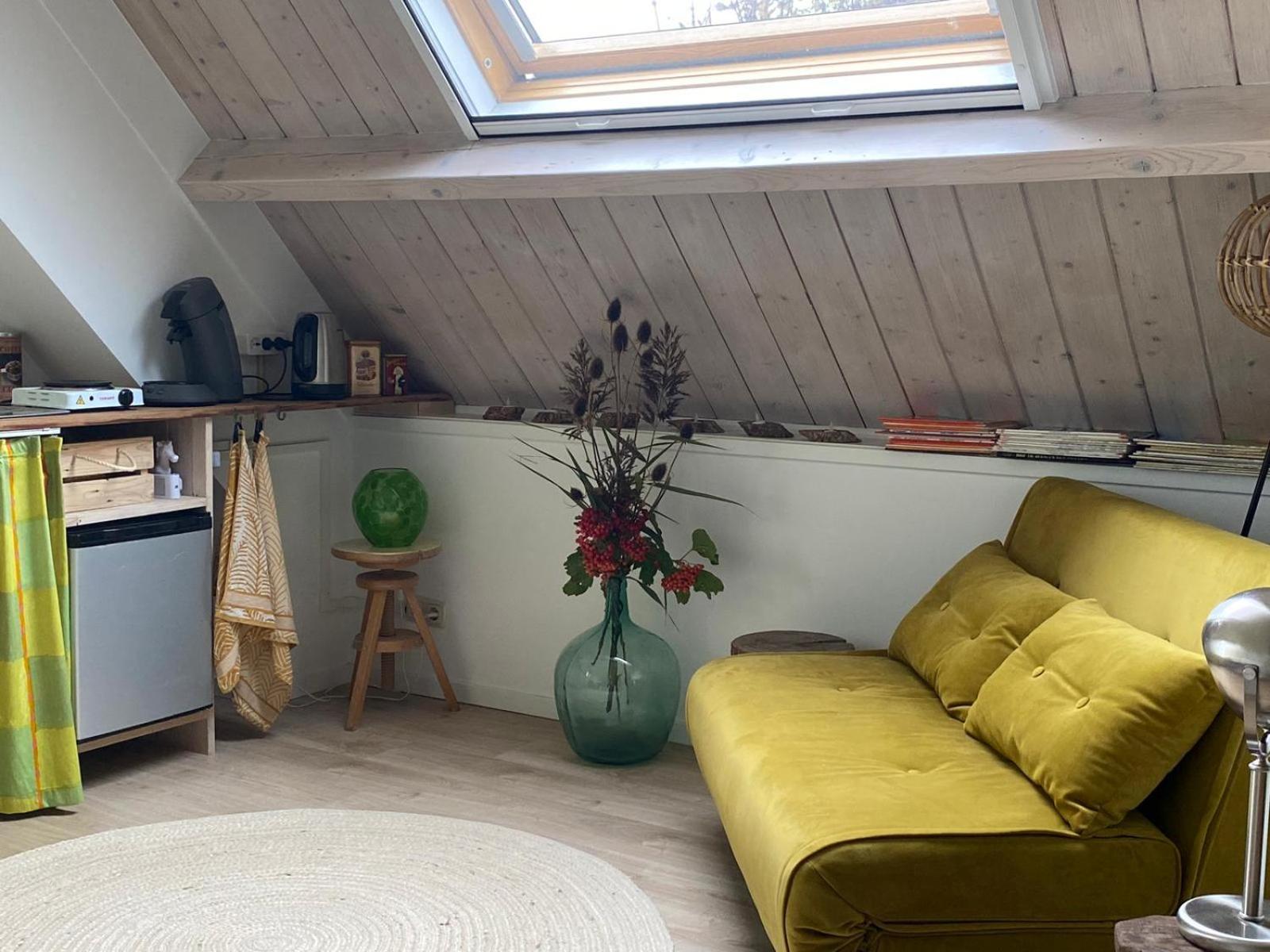 Philipstere Apartment Sint Philipsland Bagian luar foto